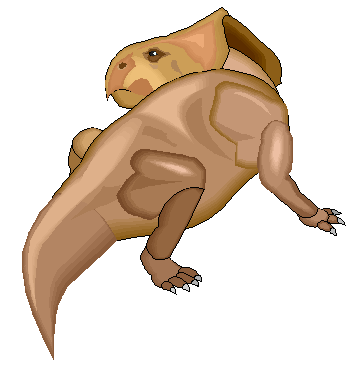 Protoceratops 7